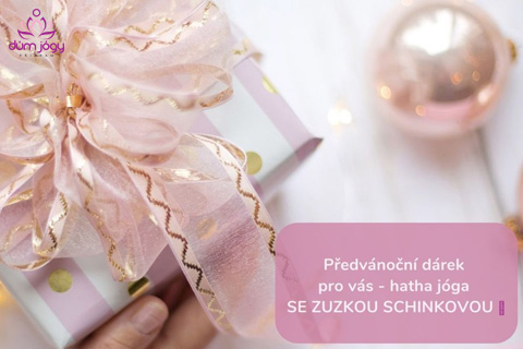 Hatha jóga se Zuzkou Schinkovou
