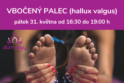 Přednáška se cvičením - VBOČENÝ PALEC - pátek 31. května 19